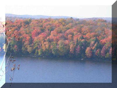 Une berge à l'automne - lac Carillon