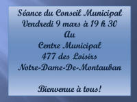 Conseil municipal